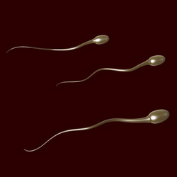 How Much is Sperm from a Sperm Bank
